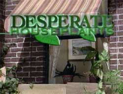 Logo.houseplants Sesame Street's parody of Desperate Housewives.