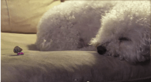 Screen Shot 2011-11-17 at 12.45.33 PM