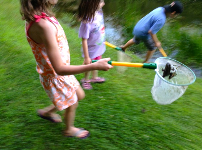 Frog catching